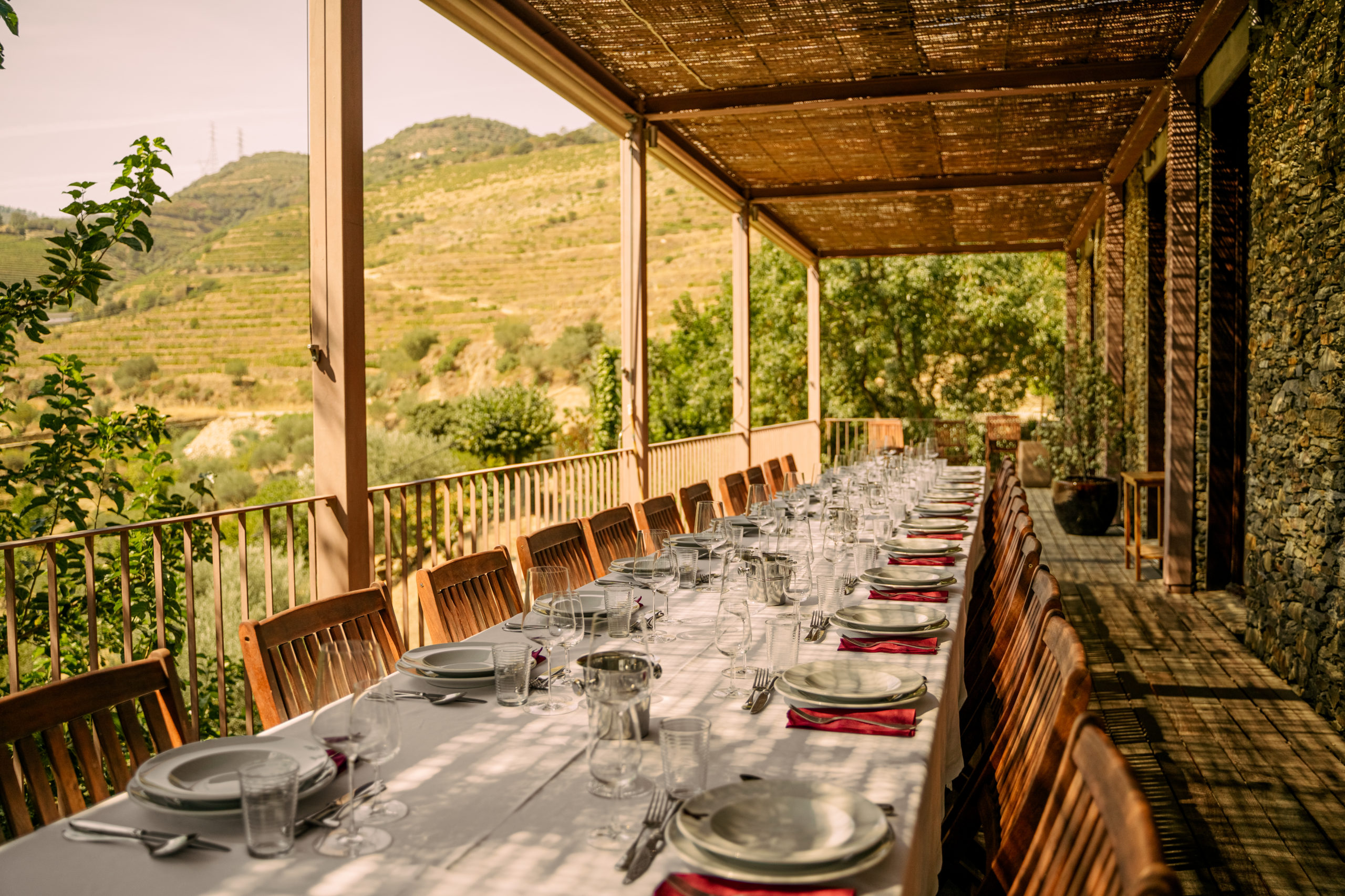 Quinta de Nápoles: a culinary and wine journey in the heart of the Douro