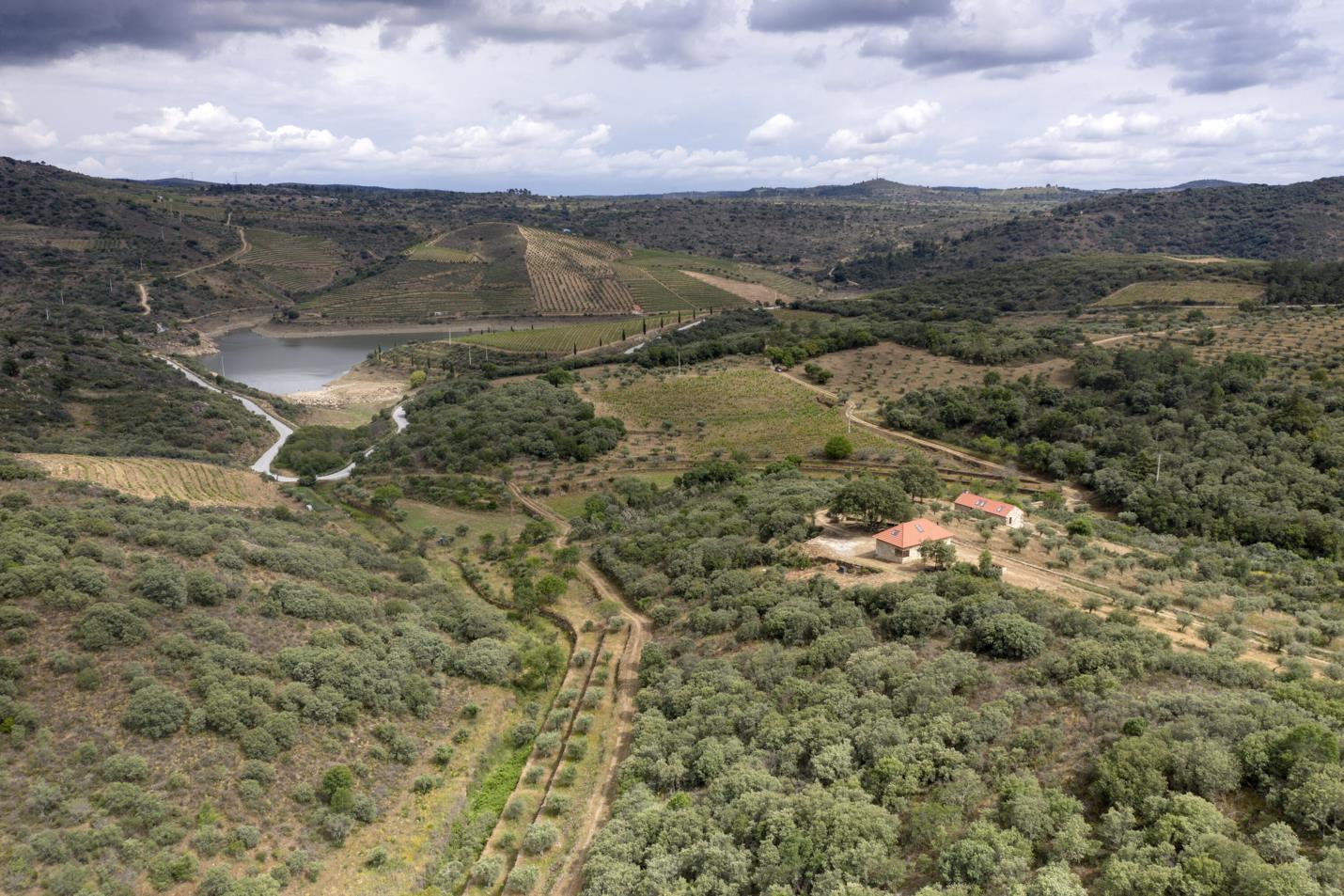 Quinta da Vineadouro: leading the way in sustainable wine tourism in the Douro