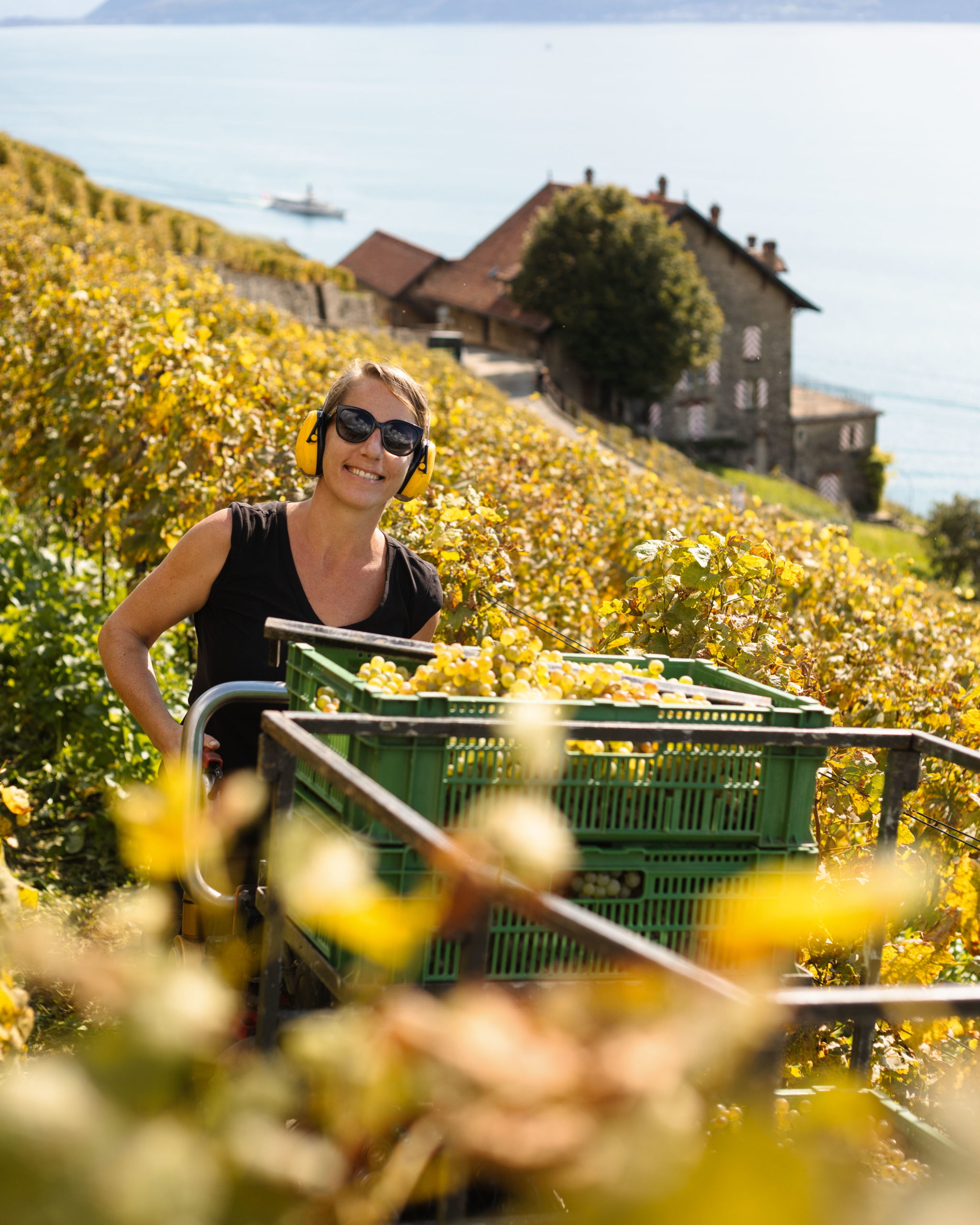 Doris Sommer Lausanne 