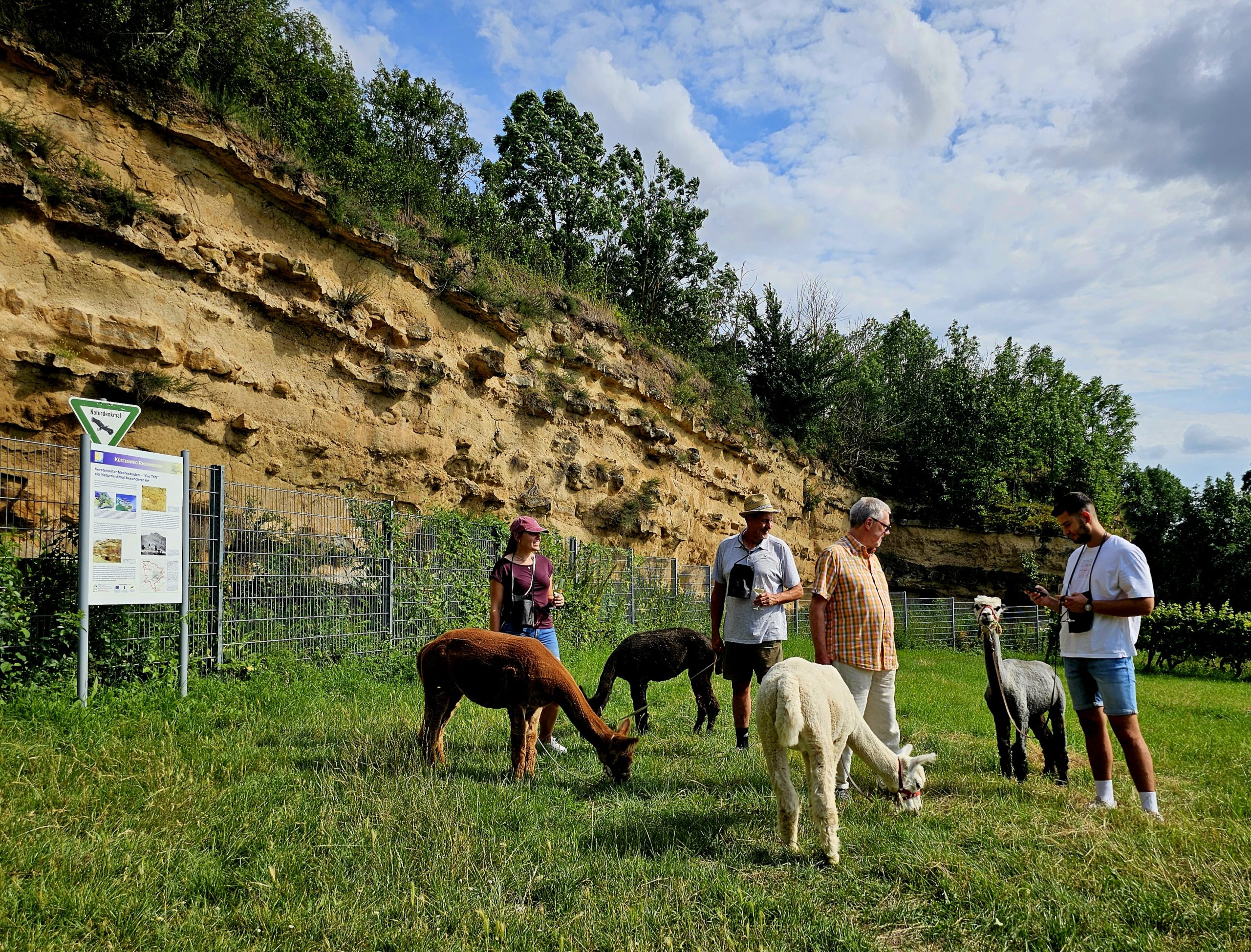 Family fun around the vineyard
