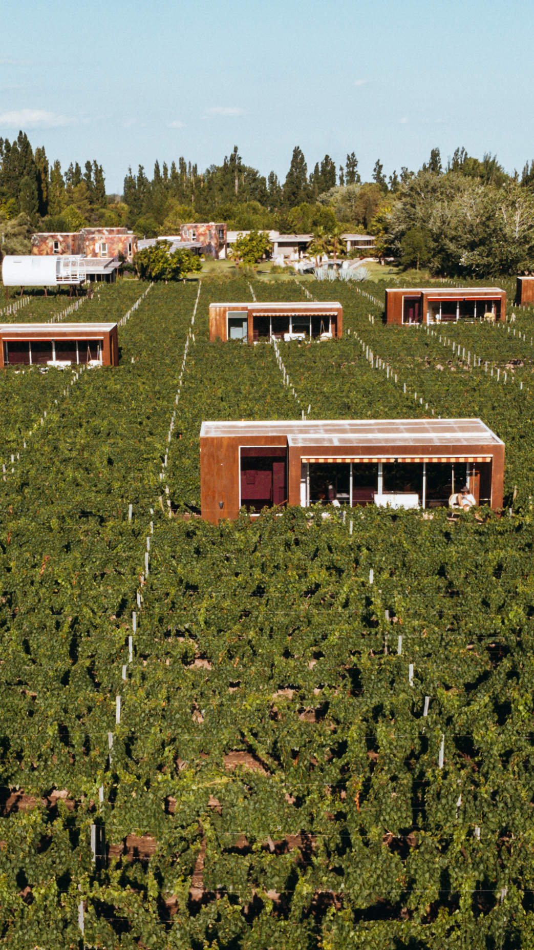 Entre Cielos: a modern dream among   the vineyards of Mendoza 