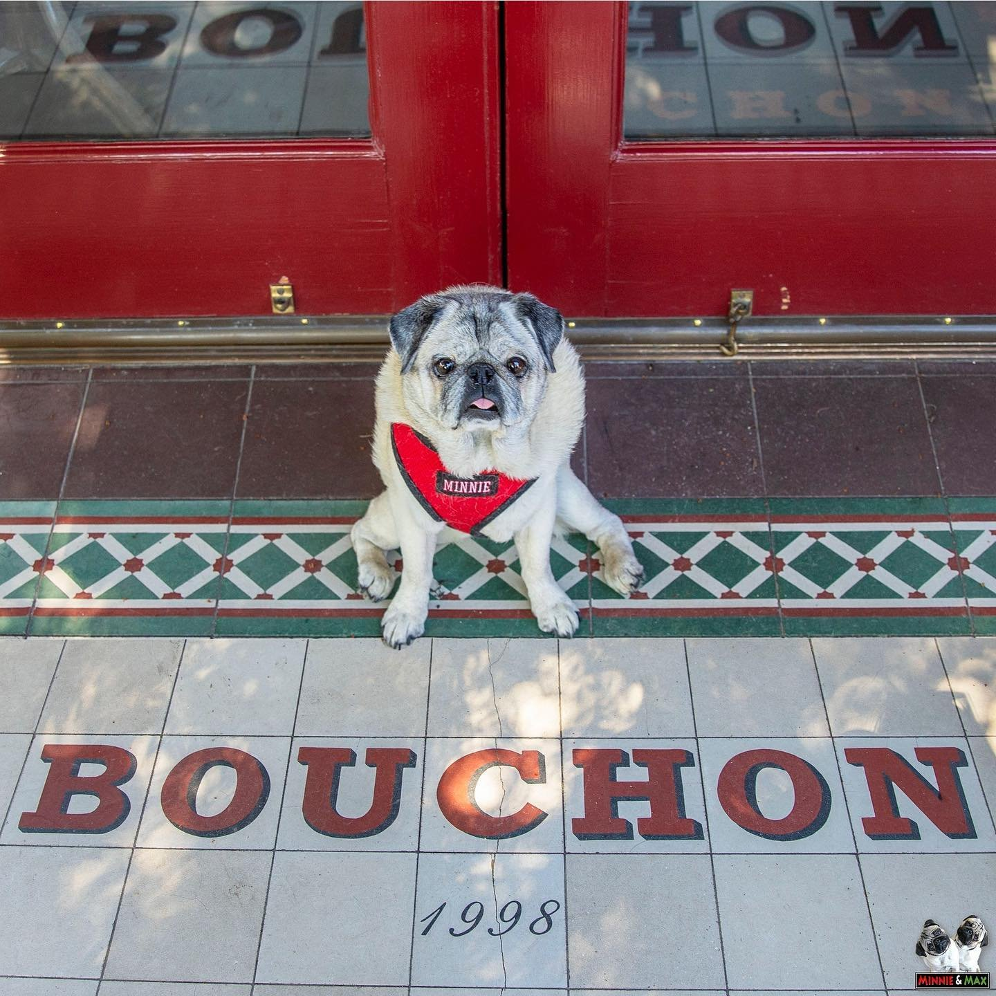 Family-Friendly & Pet-Friendly Napa Valley