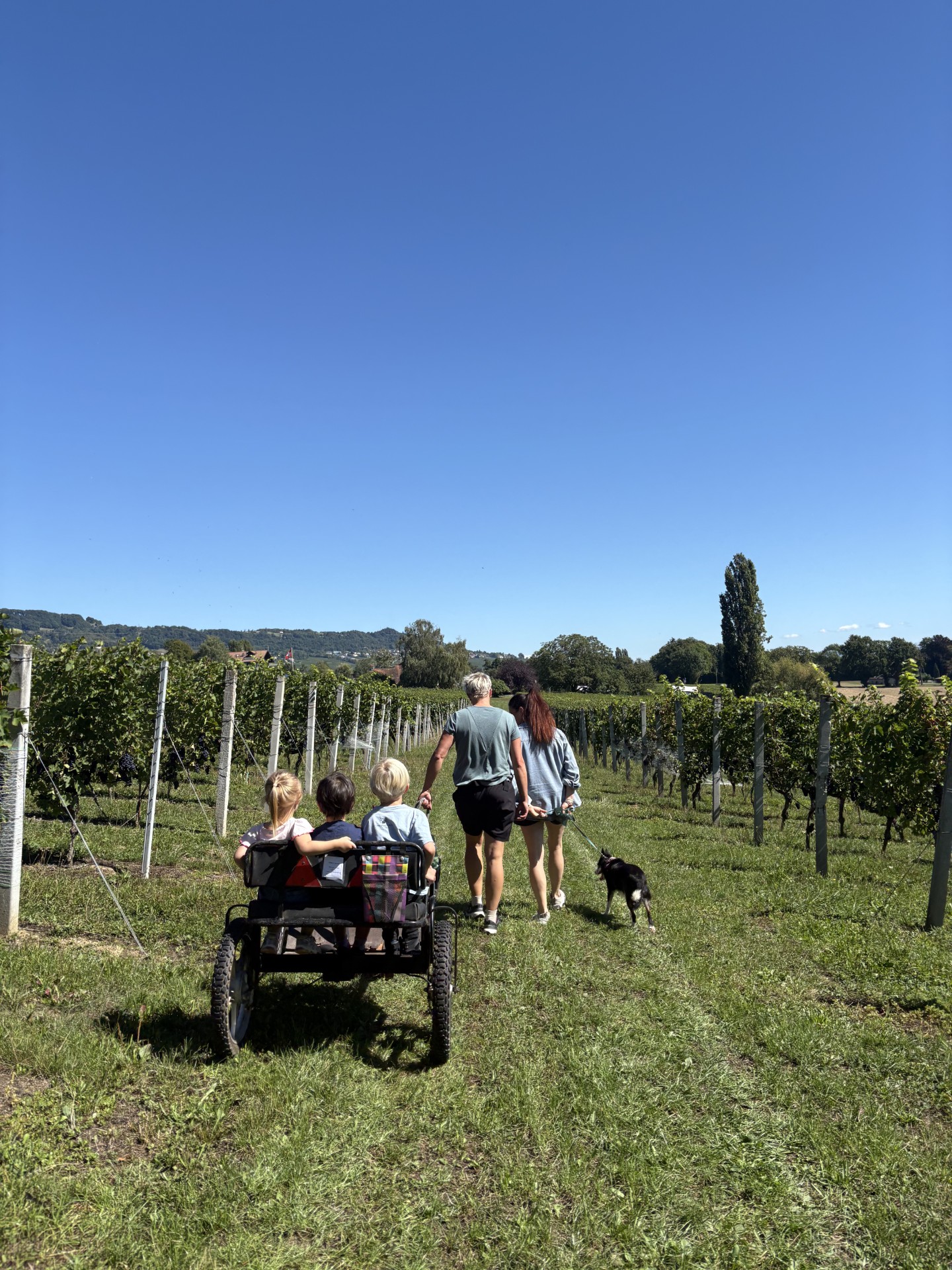 Family-Friendly Wine Tourism in Switzerland: A Spotlight on Domaine de la Dolle