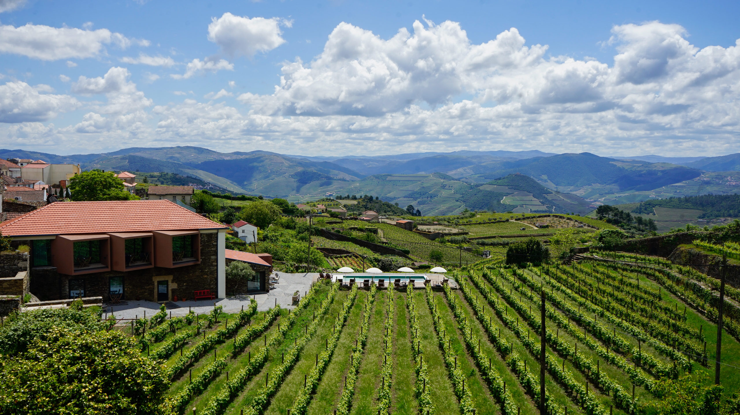 Casa do Santo Wine & Tourism: architecture framed by the Douro landscape