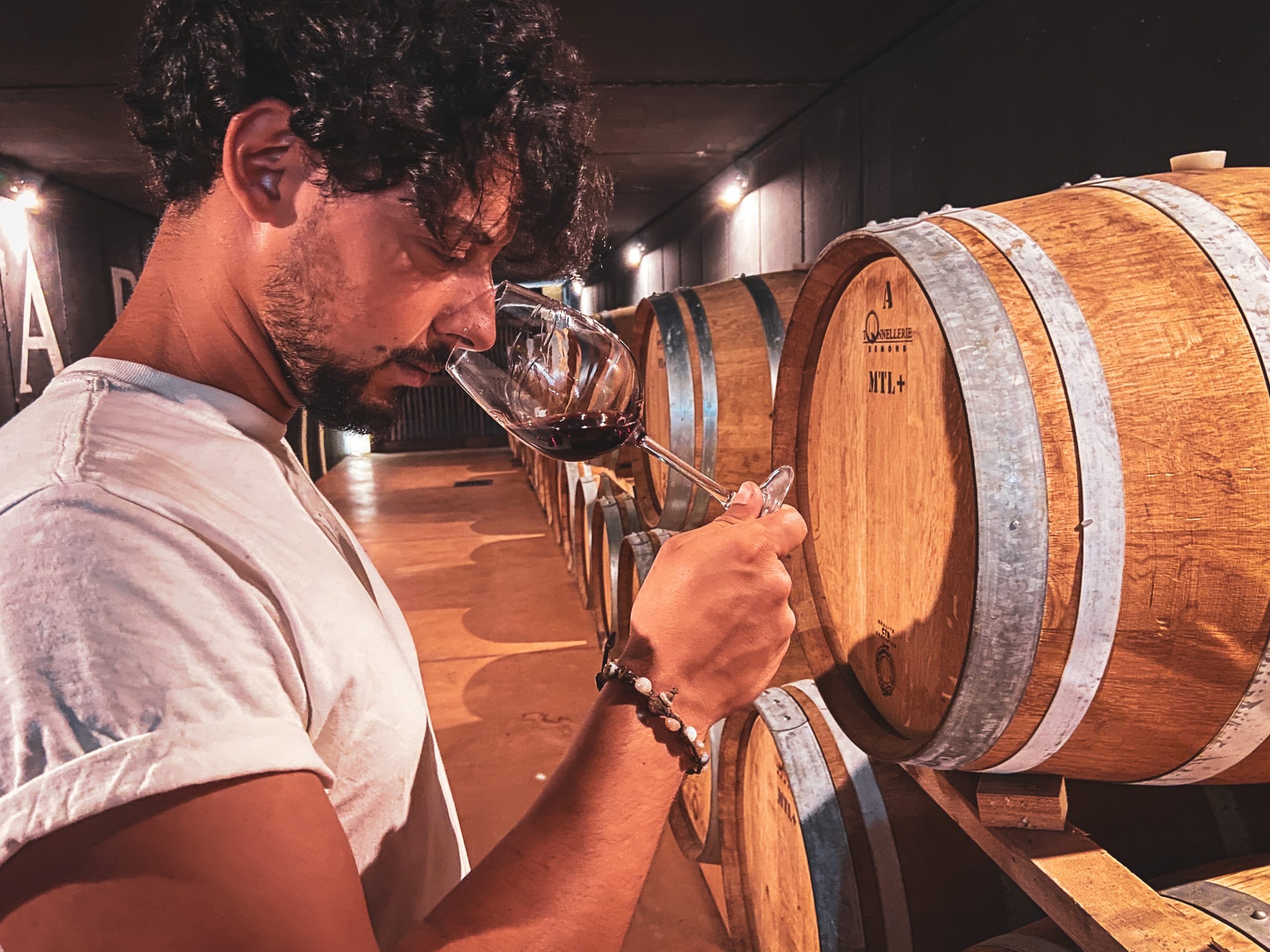 Villa Crine (Verona)