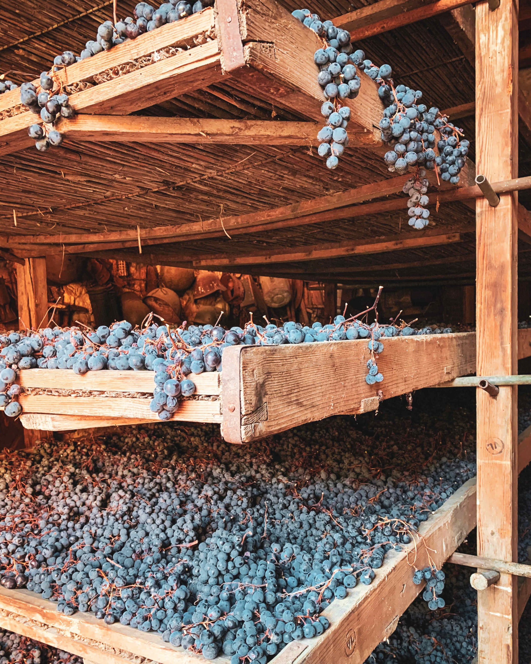 Villa Crine (Verona)