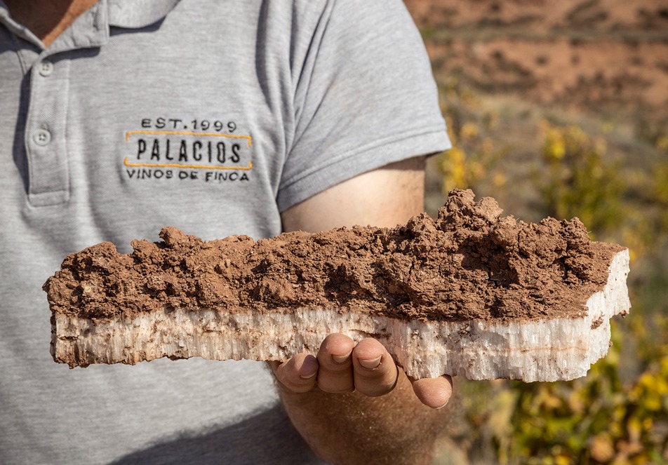 Sustainability Is Much More Than a Theory in Rioja