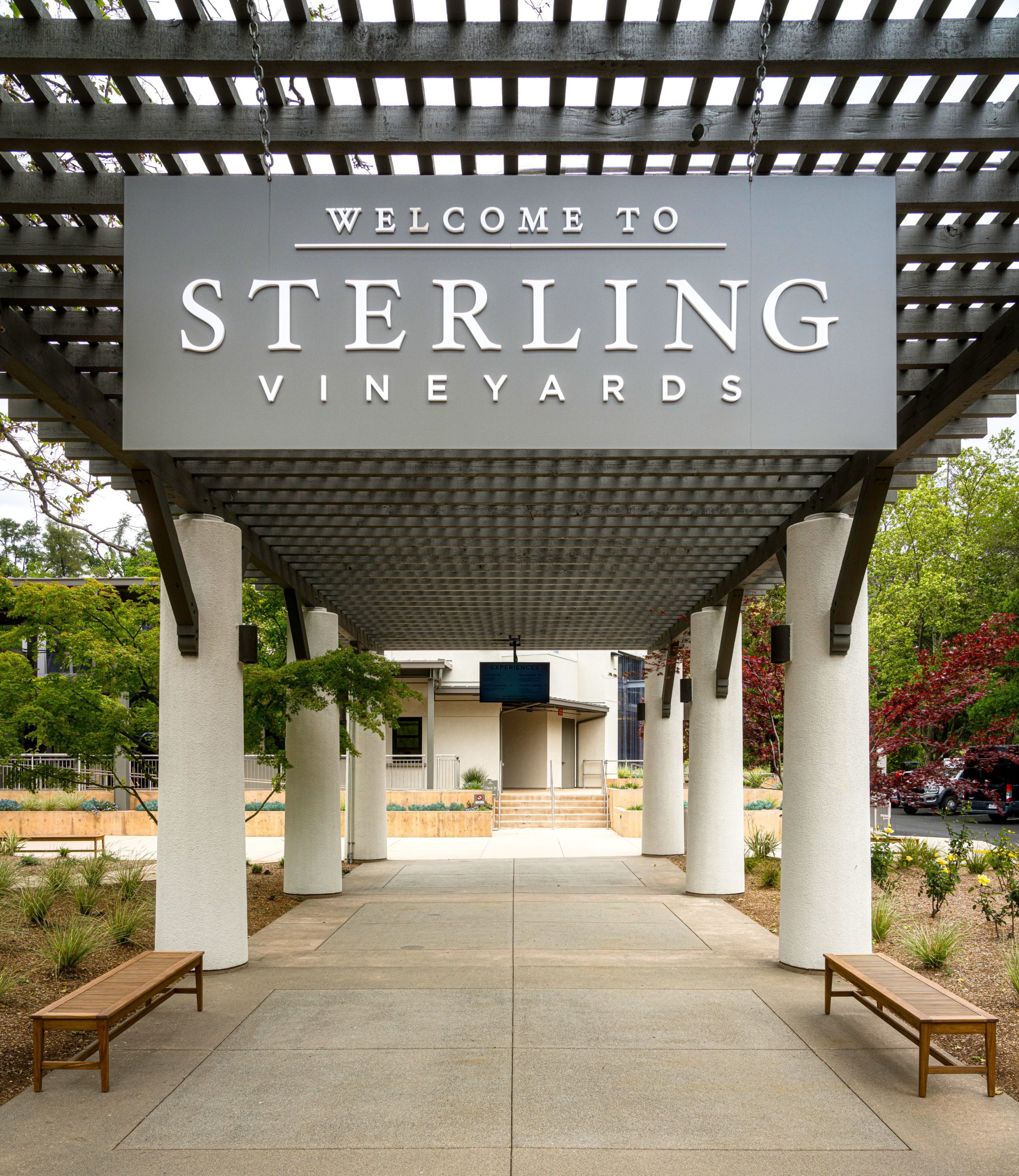 Above the Vines: The Elevated Experience of Sterling Vineyards