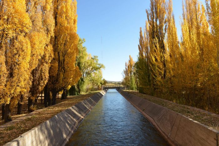Mendoza, sustainability from the desert to the world