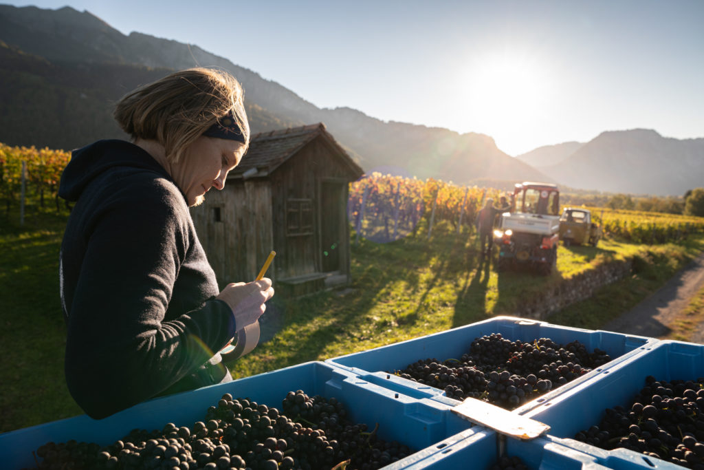 Francisca Obrecht from the biodynamic Obrecht vineyard in Graubünden.
