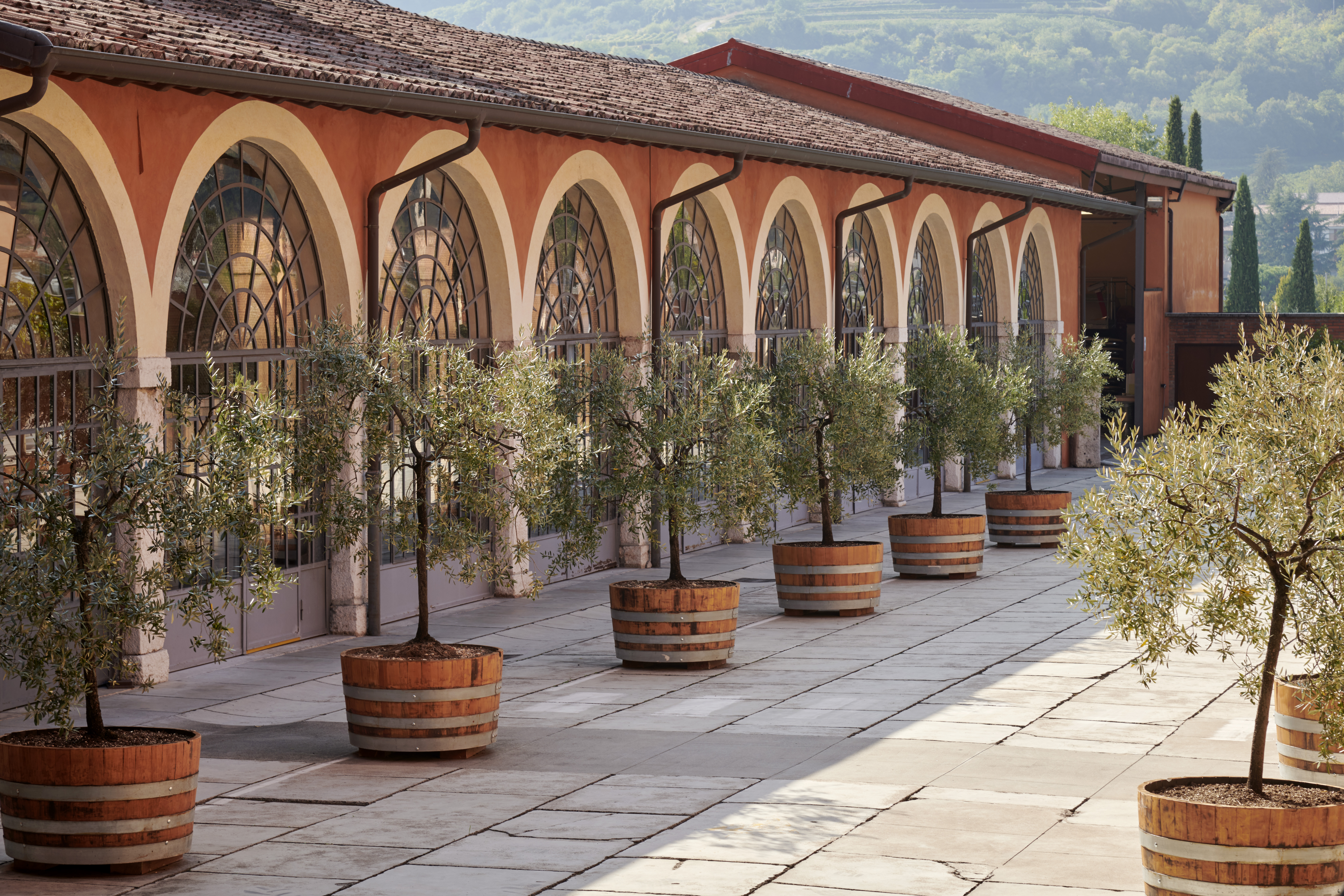 Bertani – Wine and cultural experiences