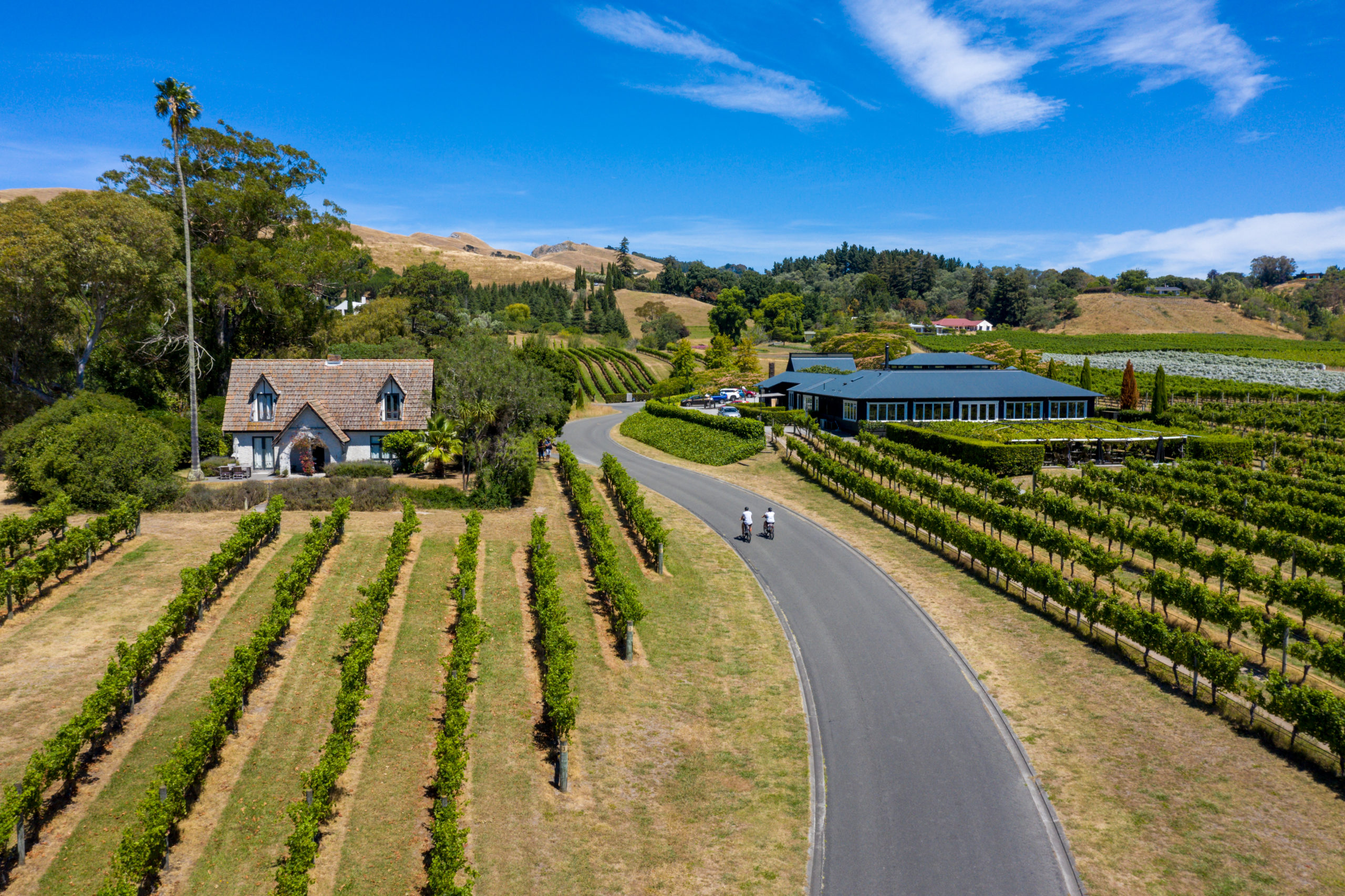 How the Classic New Zealand Wine Trail is Turning Passion into Purchase