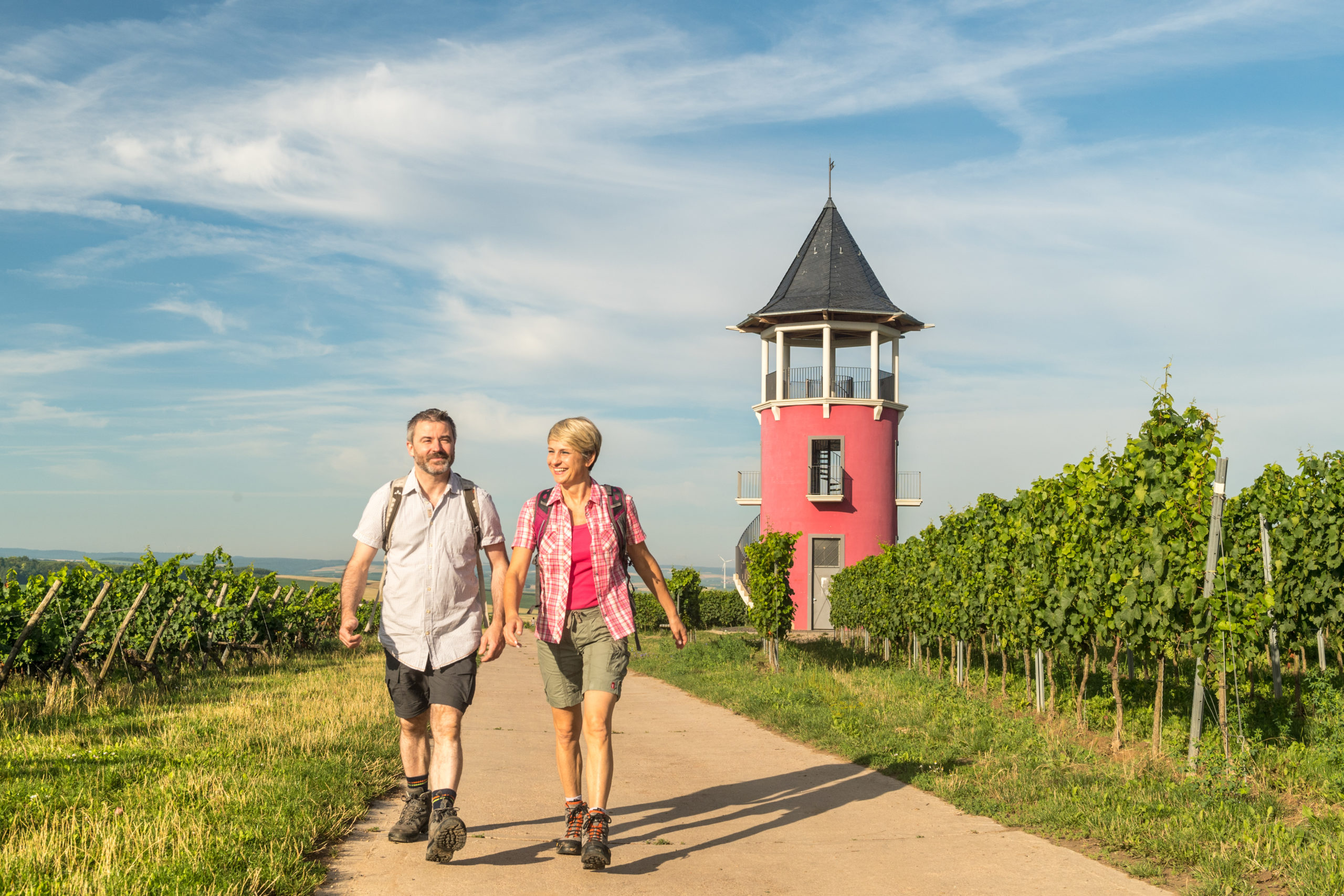 Wine Tourism as a Business Driver in Mainz and Rheinhessen