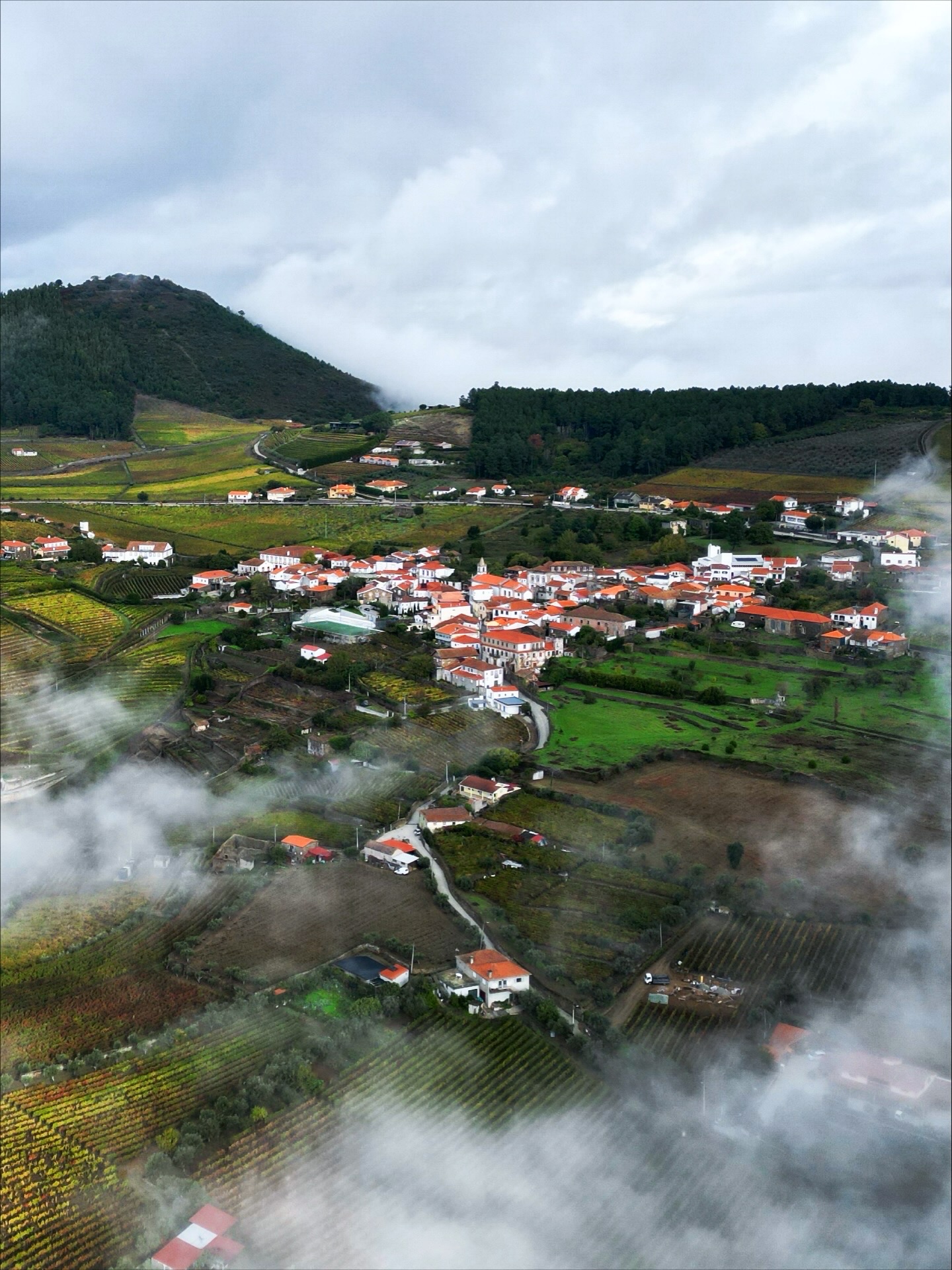 What Are Wine Travellers Really Looking For?
