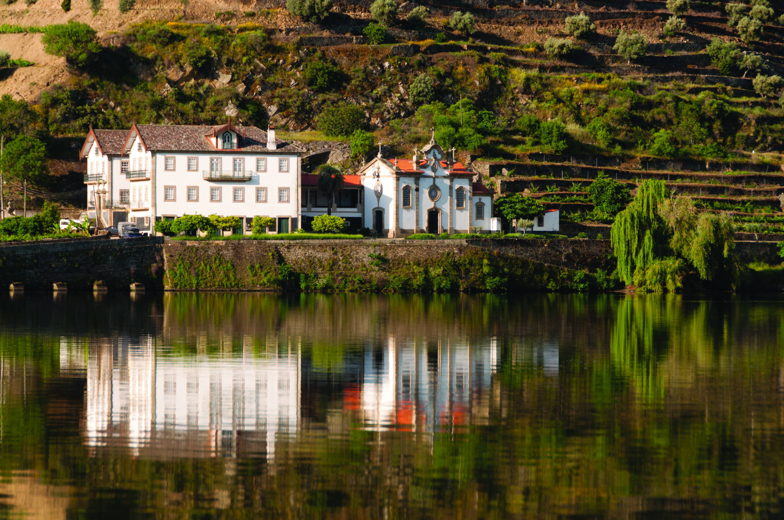 Vesúvio & Bomfim Experience: discover two iconic Douro estates in one journey