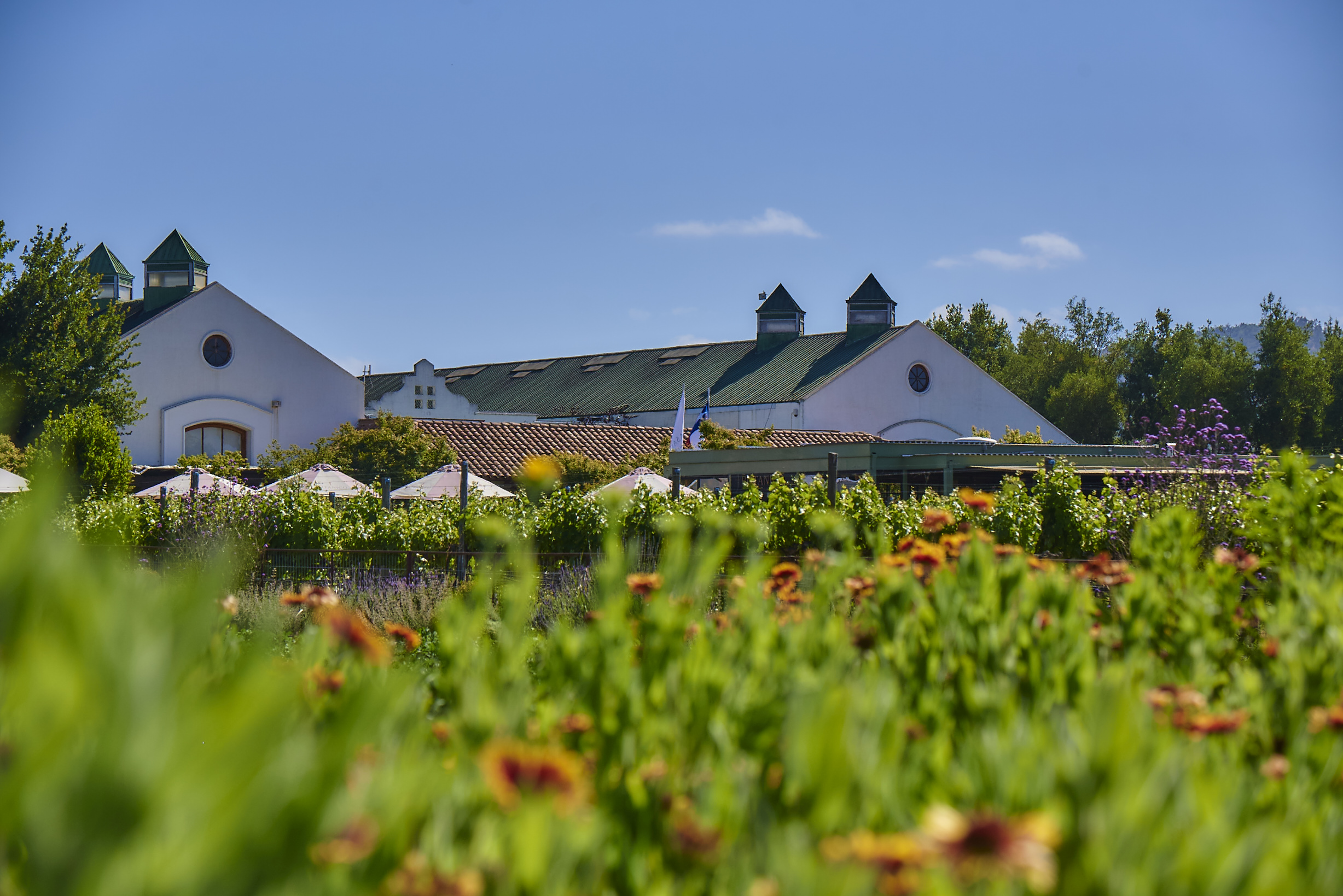 Botanico: From the Orchard to your table, an Ode to Nature