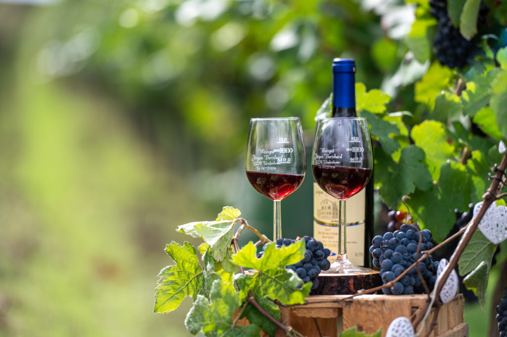 Two glasses of red wine and a wine bottle displayed with fresh red grapes and grapevine leaves in a vineyard.