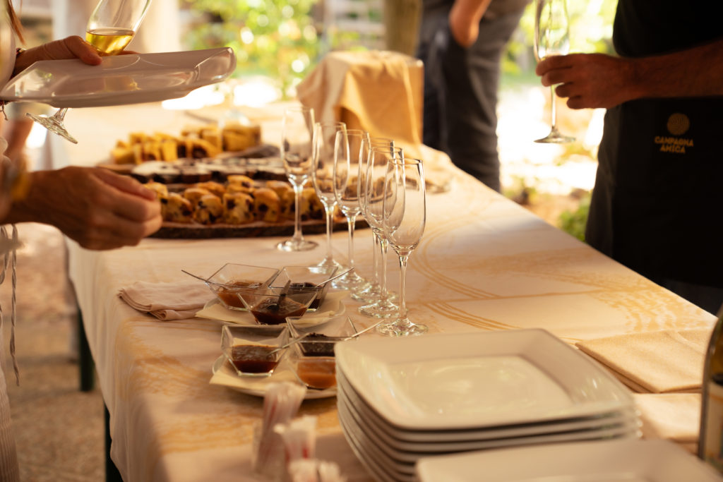 Adopt a Garganega