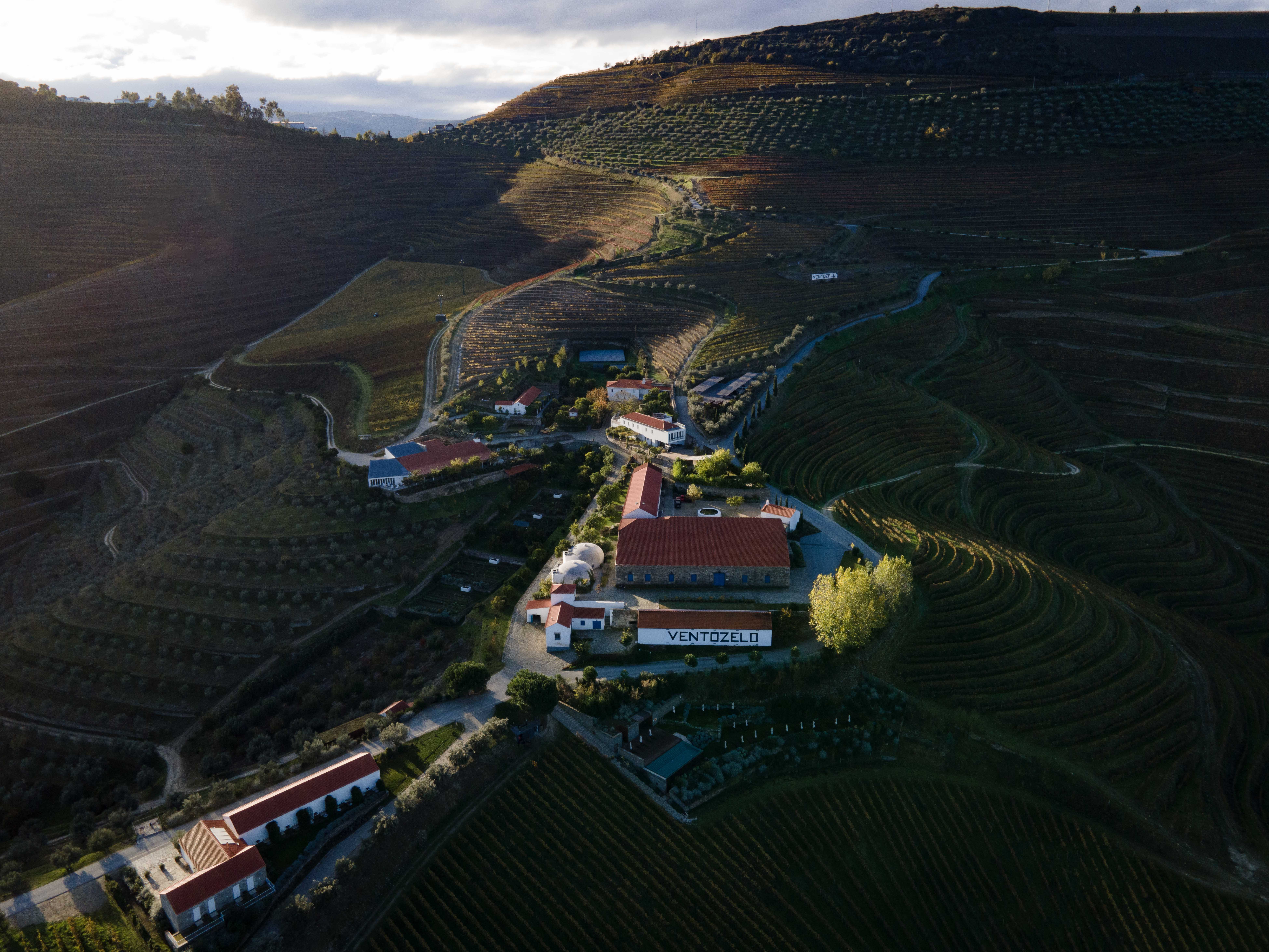 Ventozelo Hotel & Quinta – Where the Douro Explains Itself