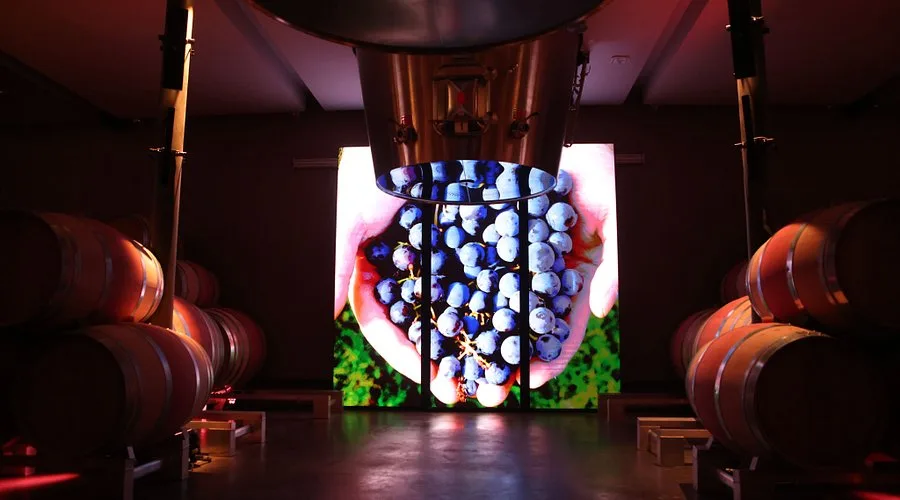 Parties and people, the Bordeaux Harvest Experience