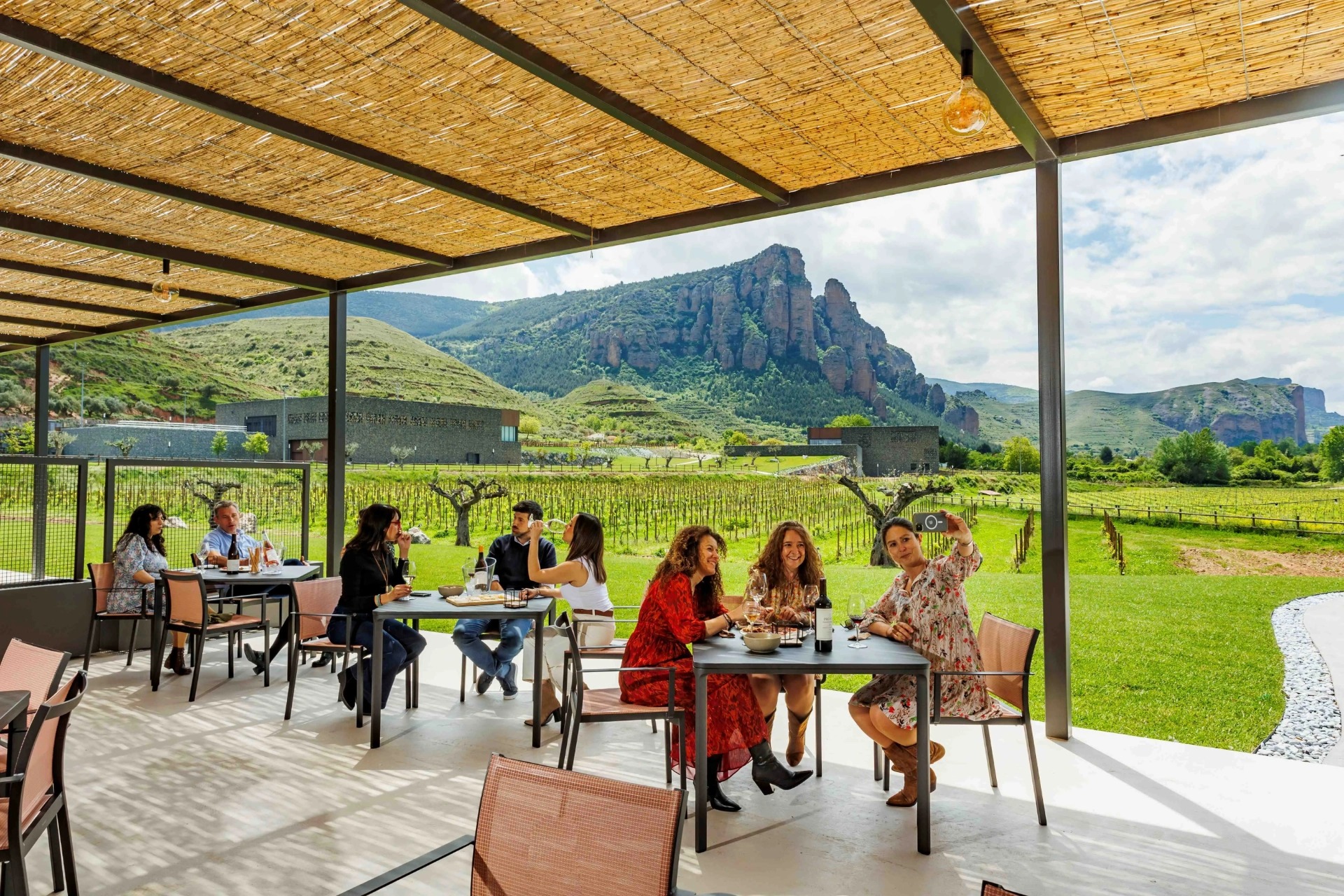 Pillars of Sustainability at Palacios Vinos de Finca, Nivarius and Proelio